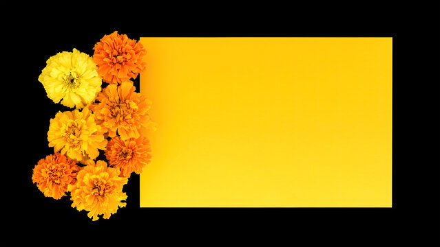 Marigold flowers isolated on a black background ,frame. Card for day of the dead. postcard mockup,Dia de los Muertos. Flat lay, copy space. - Powered by Adobe