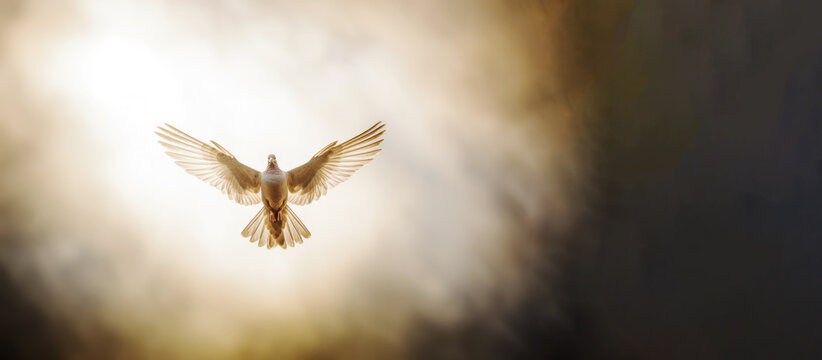 Winged dove with copy space, a representation of the New Testament Holy Spirit