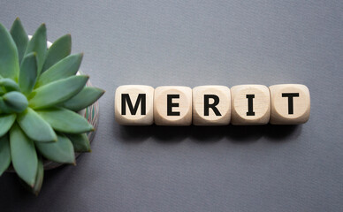 Merit symbol. Concept word Merit on wooden cubes. Beautiful grey background with succulent plant....