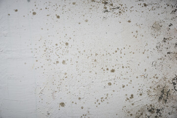 Grey textured wooden background - graphic design resources