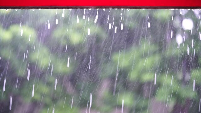 rain, 여름, 보케, 빗물, 비, 장마, 폭우, 호우, 레인, 비오는