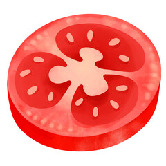 Hand Drawn Fresh Tomato Slice Cartoon Illustration Watercolor