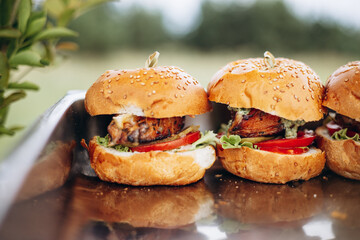 Couple of burgers homemade on the plate