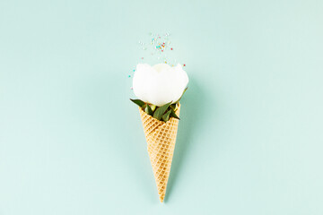 Flat-lay of waffle cone with peony flower over pastel light blue background, top view
