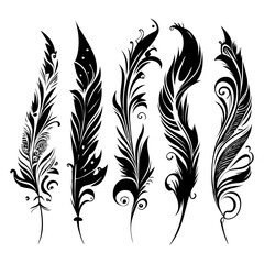 Five feathers, tribal style, vector graphic on white background