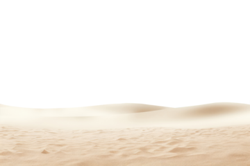 Empty Sandy Beach. On An Isolated Transparent Background, Png
