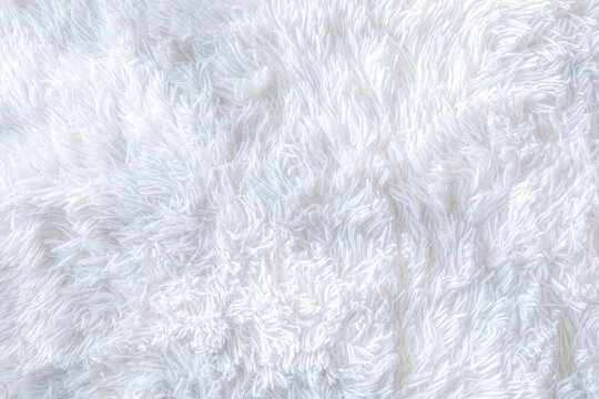 Fluffy rug textile in white color on the floor for backdrop or background. white background. 