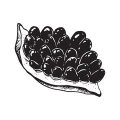 Vector pomegranate piece with seeds black and white graphic illustration. Graphic fruit for Jewish Rosh Hashanah New year greeting designs