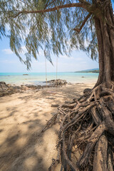 peaceful beach with a swing under the tree, the sea of Thailand