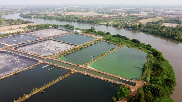 The landscape of aquaculture environmental agriculture farm. Power windmills flow oxygen into the pond. Aerial view of shrimp farmland countryside.