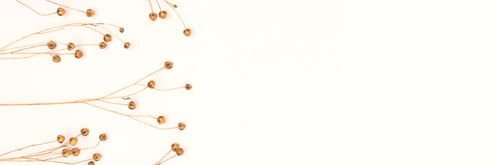 Banner with dry flax flowers on a beige background. Selective focus.
