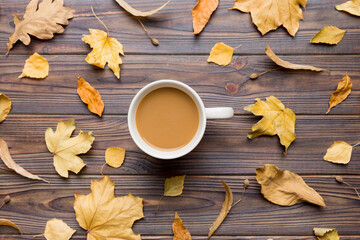 Cup of cocoa with autumn leaves abstract still life top view vith copy space