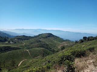 Naklejka premium View from knuckles