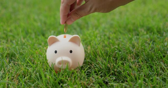 A man puts coins in a piggy bank that stands on a green lawn