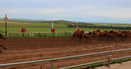 Hulunbuir Grassland, is a world famous natural pasture, is one of the world's four grasslands, known as the world's best grassland.