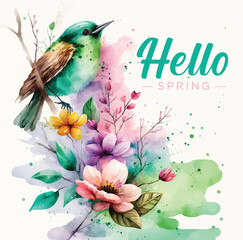 Hello Spring watercolor paint ilustration
