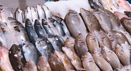 Emirates, Dubai, Deira waterfront fish market. Retailers offer fresh fish and crustaceans at their stalls on ice. Cod, sea bream, Shari fish, kingfish, , freshness, salmon, catch, prawn and shrimps.