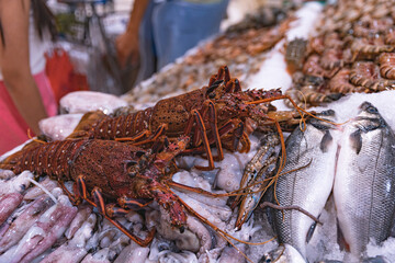 Emirates, Dubai, Deira waterfront fish marketClose-up lobster on the fish market. Retailers offer...
