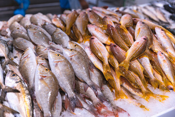 Fototapeta premium Emirates, Dubai, Deira waterfront fish market. Retailers offer fresh fish and crustaceans at their stalls on ice. Cod, sea bream, Shari fish, kingfish, , freshness, salmon, catch, prawn and shrimps.