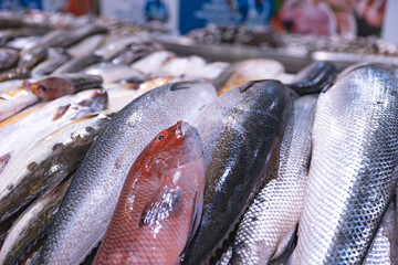 Emirates, Dubai, Deira waterfront fish market. Retailers offer fresh fish and crustaceans at their...