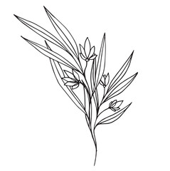 Botanical abstract line art composition with minimal floral elements of herbs, flowers, leaves and branches. vector illustration for wedding invitation, logo design and posters template, tattoo.
