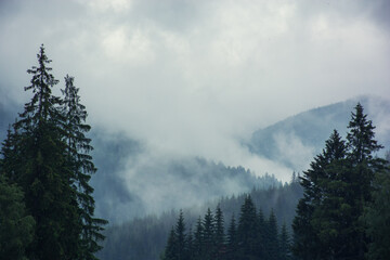 A cloudy morning in the mountains, fog descends from the peaks into the valley, a mystical landscape. High quality photo