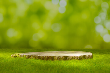 Product display podium background in forest with wooden pedestal on grass, 3d rendering