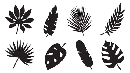 Collection of exotic palm leaves. Leaf icon set. Vector illustration
