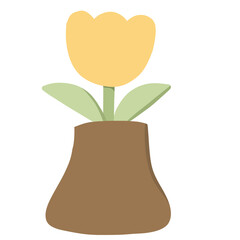 tulip in a vase