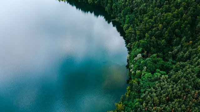 Aerial drone top down view of lake among forest, Nordrhein westfalen, Germany in summer day. 