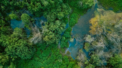 Aerial drone view over a swamp, from which protrude the trunks of dead trees. Marshland. Dead...