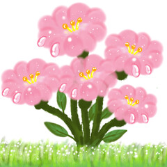 pink flowers and grass isolated on a white background 