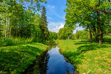 Summer landscape of Alexander park in Pushkin (Tsarskoe Selo), Saint Petersburg, Russia