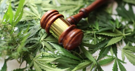Judge gavel with hemp leaves and legality of medical cannabis. Prohibition of legalization of marijuana and criminal liability