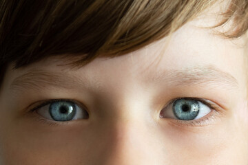 Close up beautiful blue eyes of young boy. Wide open brown eyes looking to camera