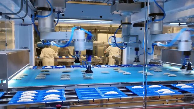 Rapid robotic production of croissants in factory. Robotic production speeds up the packaging of croissants from conveyor belt. Factory of the future is a robotic production of products at all stages.