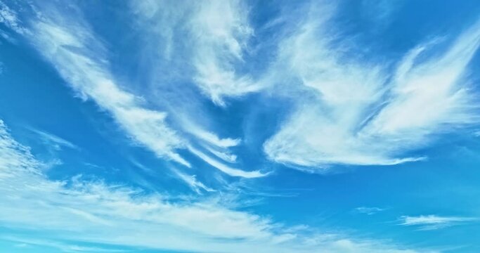 The sky was a brilliant blue, dotted with white clouds that moved gracefully across the sky..The wind gently blew them to and fro, seemingly without direction. 