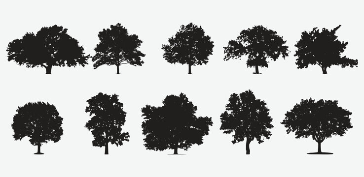Enchanting Arboreal Silhouettes, Captivating Tree Vector Collection for Every Creative Project