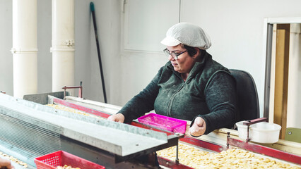 Female worker in line of control of seeds of beans