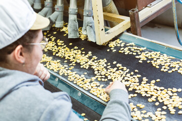 Worker sorting food on a conveyor line