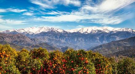 Crete: White Mountains Panorama with Orange Trees and a Windy Dramtic Sky