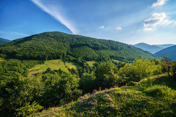 Fototapeta na wymiar Gorgeous sunny mountain landscape with blue sky, meadows and flowers