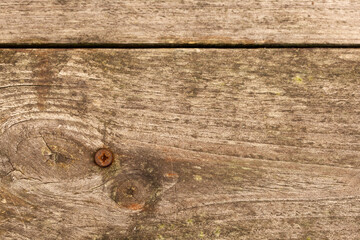 Background and top view of weathered pine wood decking planks with one rusty screw