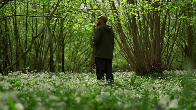 A man drinking a hot beverage in a forest of wild garlic