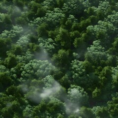Naklejka na ściany i meble aerial view of a forest