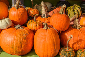 Close-up of various types of squashes, Canton Zurich, Switzerland