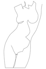 Female figure. Linear drawing, a linear drawing of a beautiful female body.