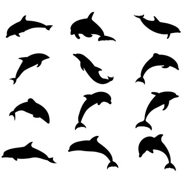 Dolphin Silhouettes Set, Dolphin Svg, Jumping Dolphin Svg, Dolphin Cut File, Dolphin Clipart