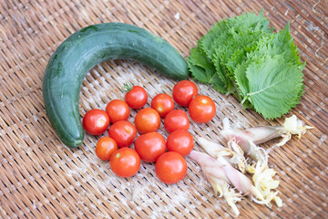 収穫した夏野菜