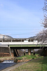 阪急電鉄芦屋川駅(兵庫県芦屋市)近くに咲く桜の花